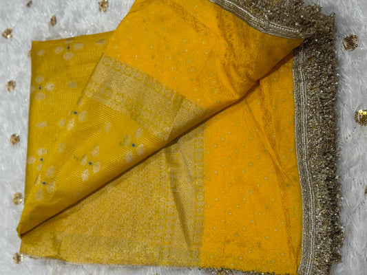 Party wear Dupion Silk Saree
