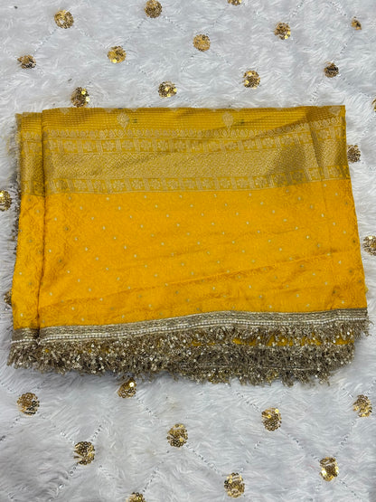 Party wear Dupion Silk Saree