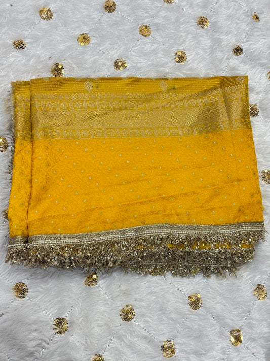 Party wear Dupion Silk Saree