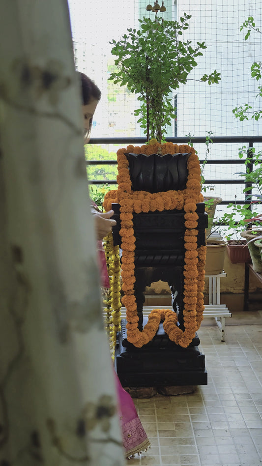 Ghungroo Saree